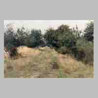 042-1002 Der Weg von der Hauptstrasse nach Jaegersdorf im Jahre 1995 .jpg